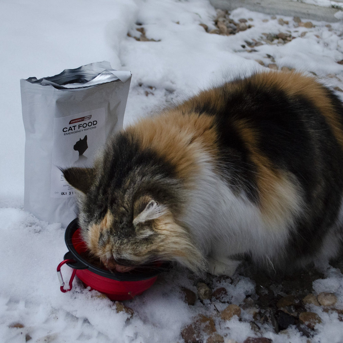Emergency Zone Basic Cat Emergency Kit, view 5